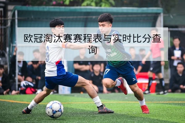 中超本轮伤病名单与外援复出时间预测